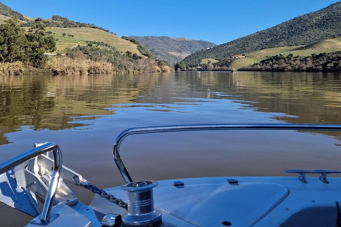VALE DOURO, Premium Wine Tour, Wine Lunch, Private Boat - Wine Farm Tasting and Guided Visit: Your First Look at the Region