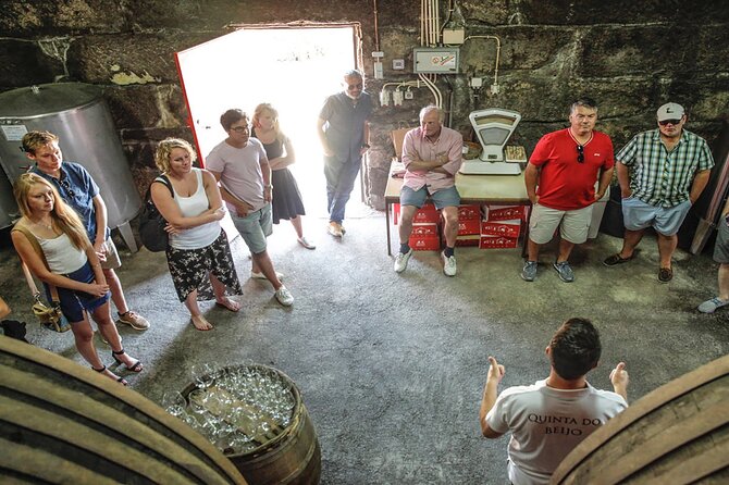 VALE DOURO, Premium Wine Tour, Wine Lunch, Private Boat - N222 Scenic Road Stops: Where the Douro Looks Like a Postcard