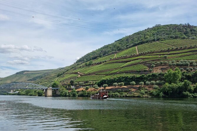 VALE DOURO, Premium Wine Tour, Wine Lunch, Private Boat - Port and DOC Tastings: What You’ll Actually Drink