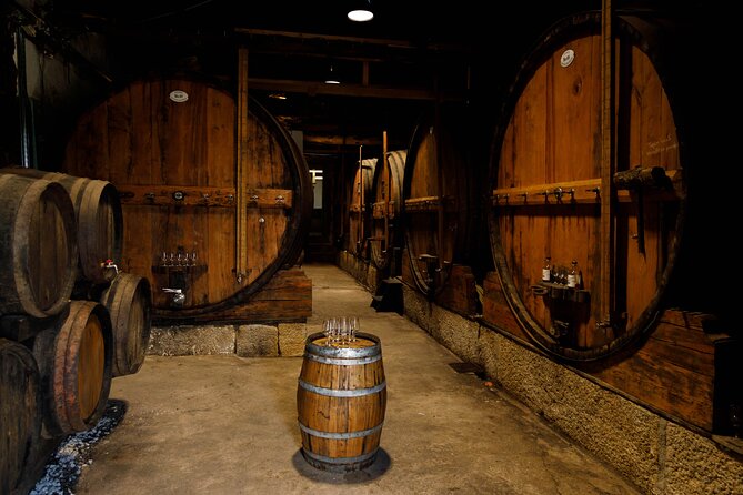 VALE DOURO, Premium Wine Tour, Wine Lunch, Private Boat - Price and Logistics: Does $163.33 Make Sense?