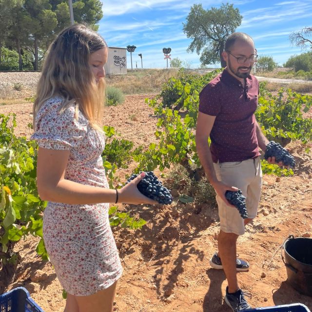 Valencia: Utiel-Requena Cave & Winery Day Trip with Tasting - Requena’s short stroll: charming streets, then back underground