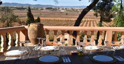 Valencia: Utiel-Requena Cave & Winery Day Trip with Tasting - Morning start from Valencia: no car stress, just timing