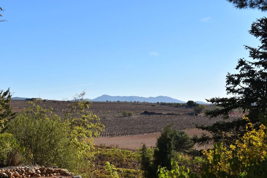 Valencia: Utiel-Requena Cave & Winery Day Trip with Tasting - Vera de Estenas in Utiel: vineyards, family energy, and a second tasting