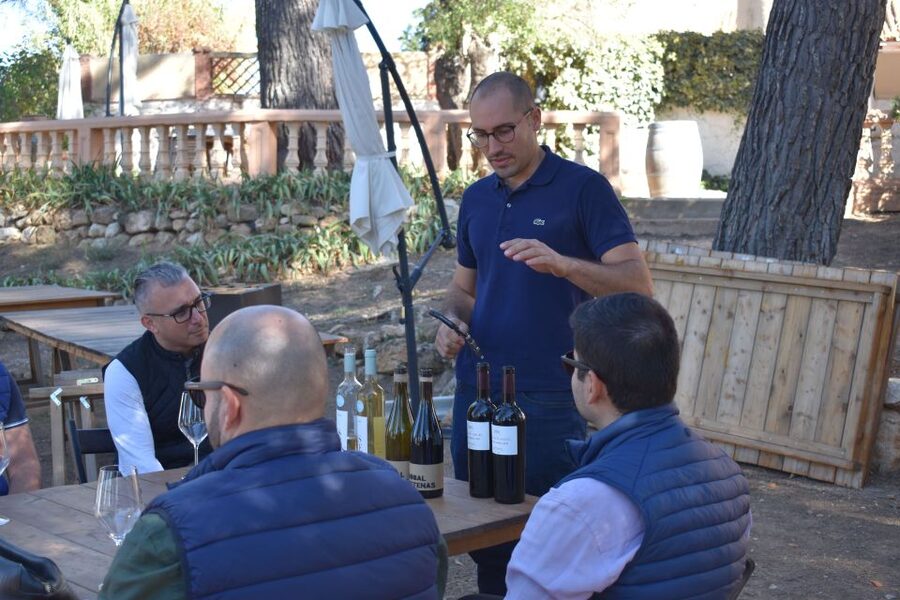 Valencia: Utiel-Requena Cave & Winery Day Trip with Tasting - Season, schedules, and the real pacing of a 6-hour day