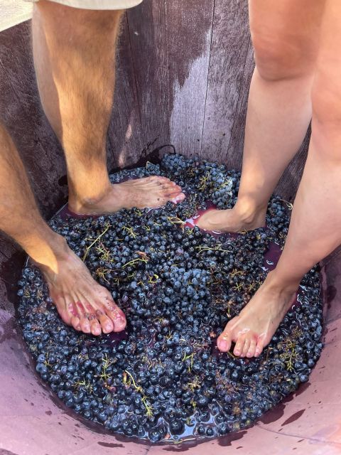 Valencia: Utiel-Requena Cave & Winery Day Trip with Tasting - Price and value: is $128 per person fair for what you get?