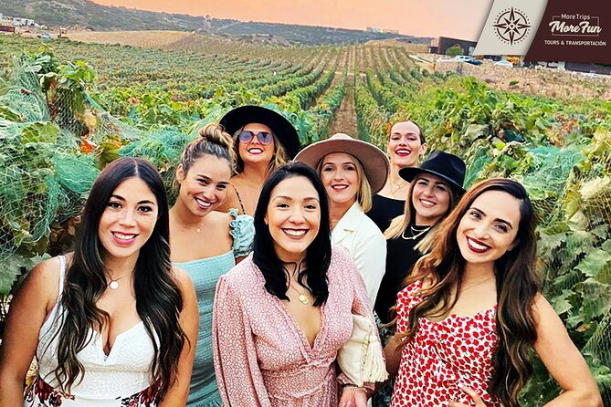 Valle de Guadalupe winery and brewery tours - Transportation value: safe driving, clean van, and a guide that keeps things moving