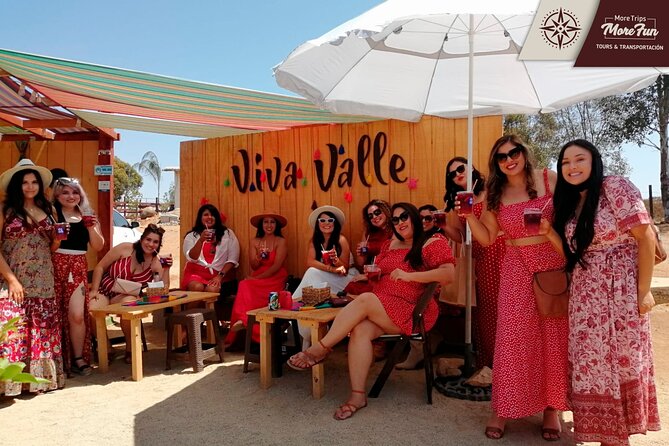 Valle de Guadalupe winery and brewery tours - When it fits best: birthdays, friends, and groups that want control