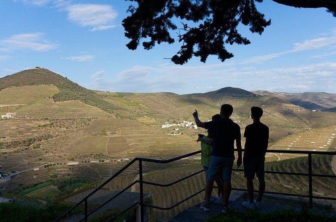 Valley of the Douro and Amarante Wine Gastronomy and Boat Tour - Quinta de São Luís: port tasting with a real vineyard visit