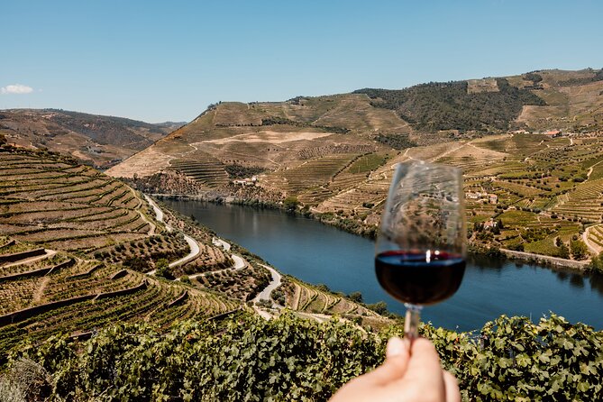 Valley of the Douro and Amarante Wine Gastronomy and Boat Tour - Group size, guides, and the human factor that makes it work