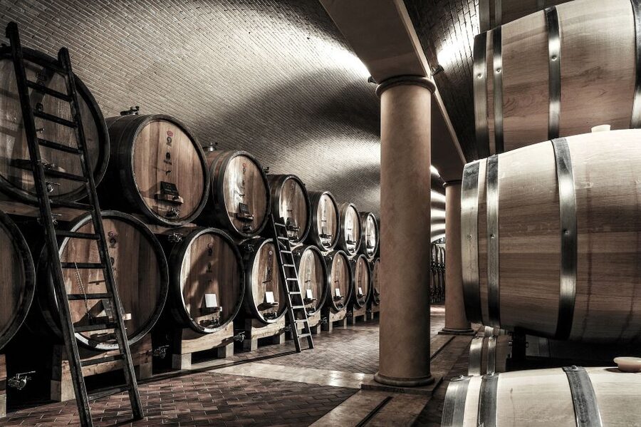 Valpolicella: 1.5-Hour Guided Winery Tour with Wine Tasting - Step 2: vineyards, harvest-to-bottling context, and the cellar story