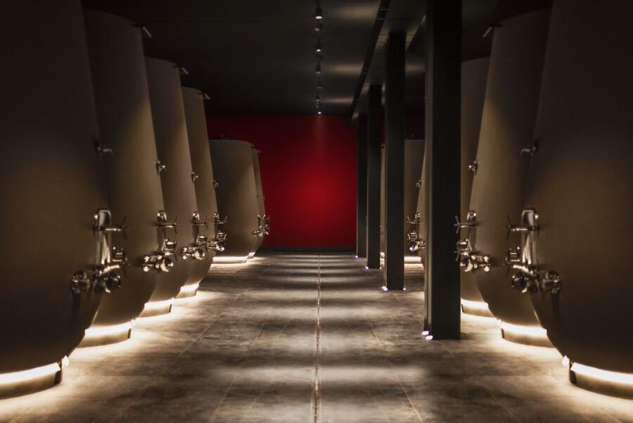 Valpolicella: 1.5-Hour Guided Winery Tour with Wine Tasting - Amarone and Recioto, explained in a way you can taste