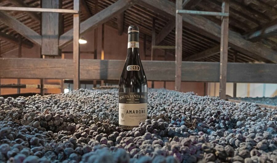 Valpolicella: Amarone Chateau Guided Tour and Wine Tasting - Seated tasting with a sommelier: how to get the most from at least four wines