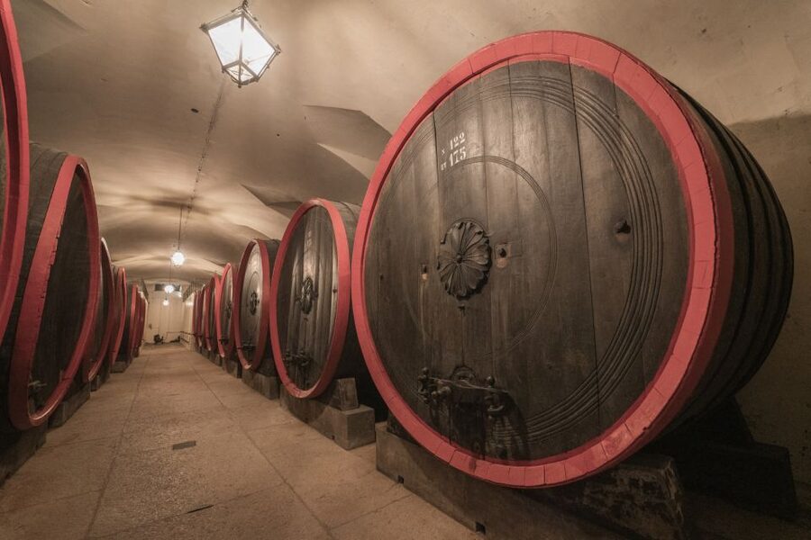 Valpolicella: Amarone Chateau Guided Tour and Wine Tasting - Adults-only focus: who this tour suits best
