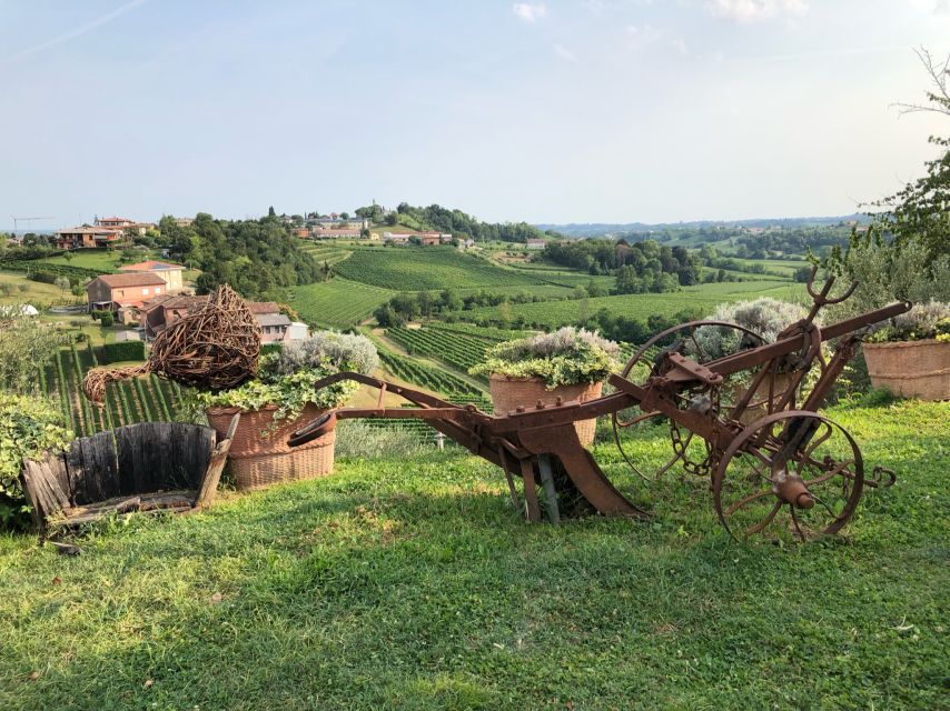 Venice: Prosecco Hills Wineries Tour with Tastings and Lunch - Getting to Conegliano: Train First, Van Later