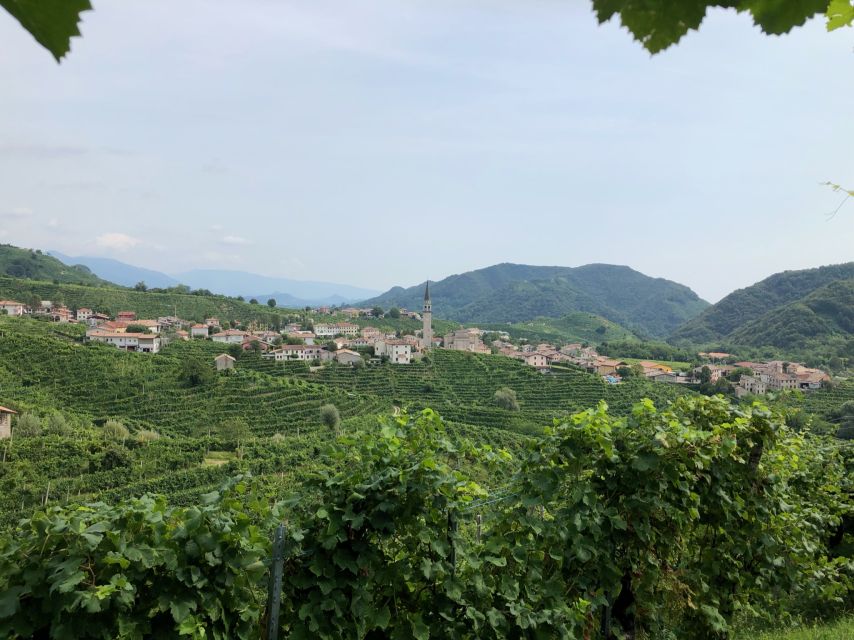 Venice: Prosecco Hills Wineries Tour with Tastings and Lunch - Osteria in the Hills: Aperitivo, Birds, and Spiedo