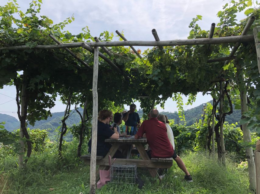 Venice: Prosecco Hills Wineries Tour with Tastings and Lunch - Winery Stop Two: DOCG Prosecco and Ancient Vines