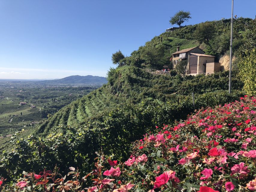Venice: Prosecco Hills Wineries Tour with Tastings and Lunch - Tastings, Pace, and Views: What a 7-Hour Wine Day Really Means