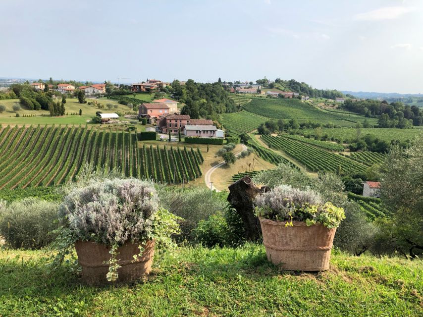 Venice: Prosecco Hills Wineries Tour with Tastings and Lunch - Should You Book Yellowboot’s Prosecco Hills Wineries Tour?