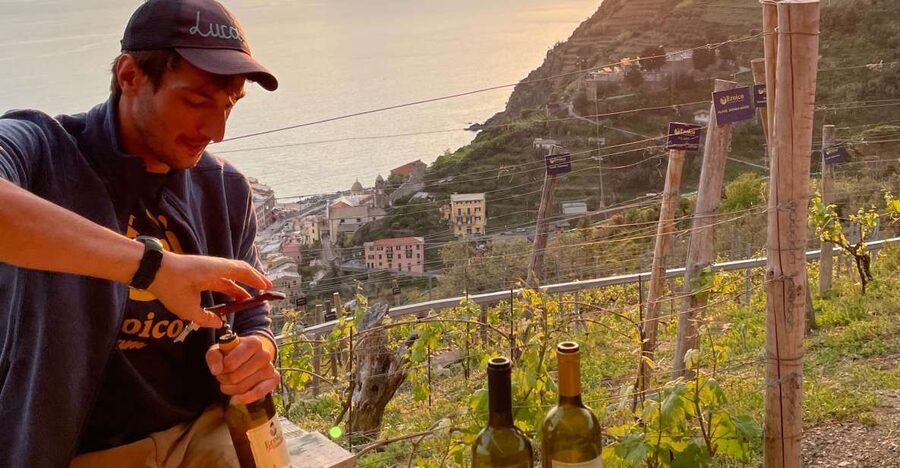 Vernazza: Panoramic Vineyard Trekking Tour w/ Wine Tasting - A wine tasting with a climb through Cinque Terre