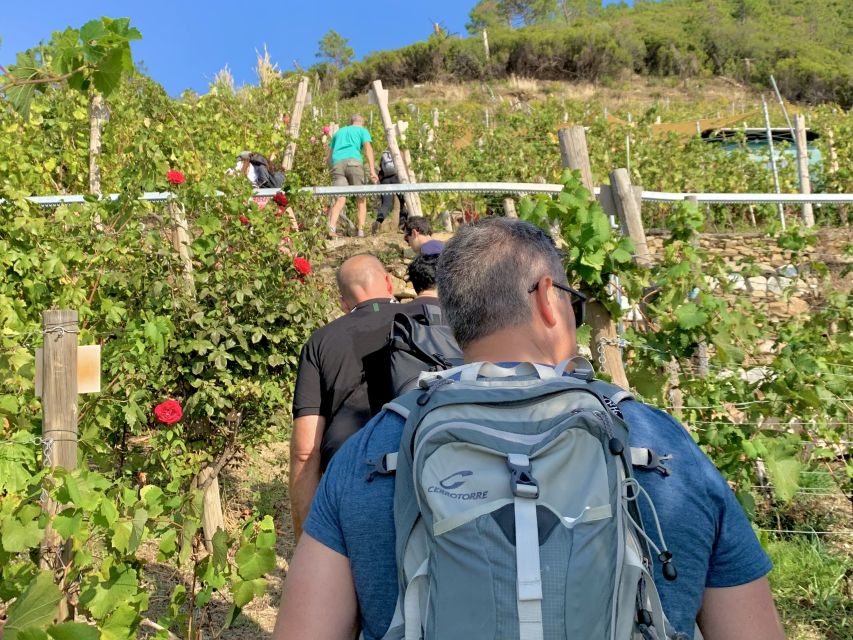 Vernazza: Panoramic Vineyard Trekking Tour w/ Wine Tasting - The uphill hike: 30 minutes of steps and sea views