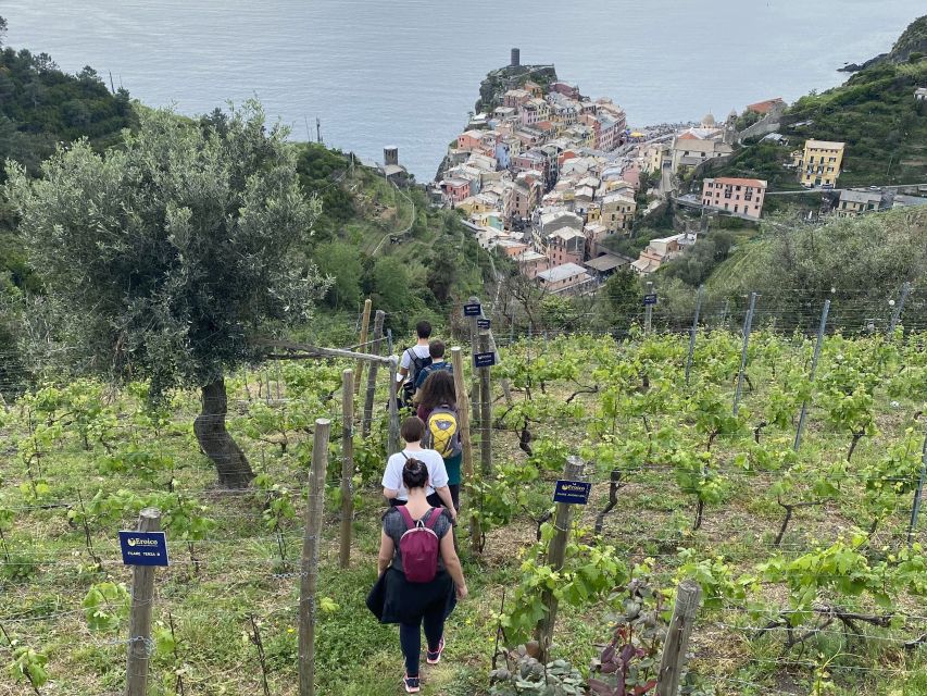 Vernazza: Panoramic Vineyard Trekking Tour w/ Wine Tasting - Vernazza photo stops and guided walking time