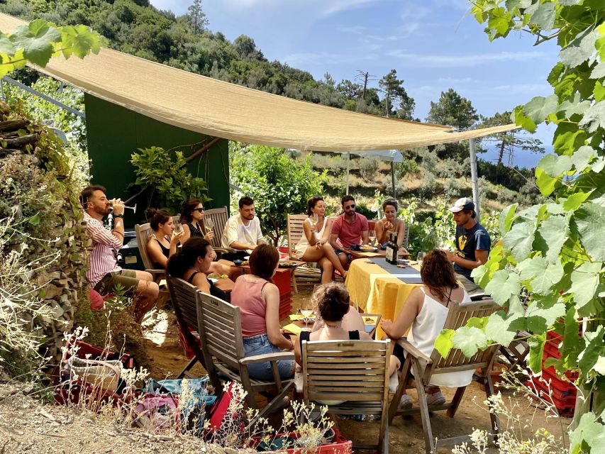 Vernazza: Panoramic Vineyard Trekking Tour w/ Wine Tasting - Duration and group size: why the timing feels right