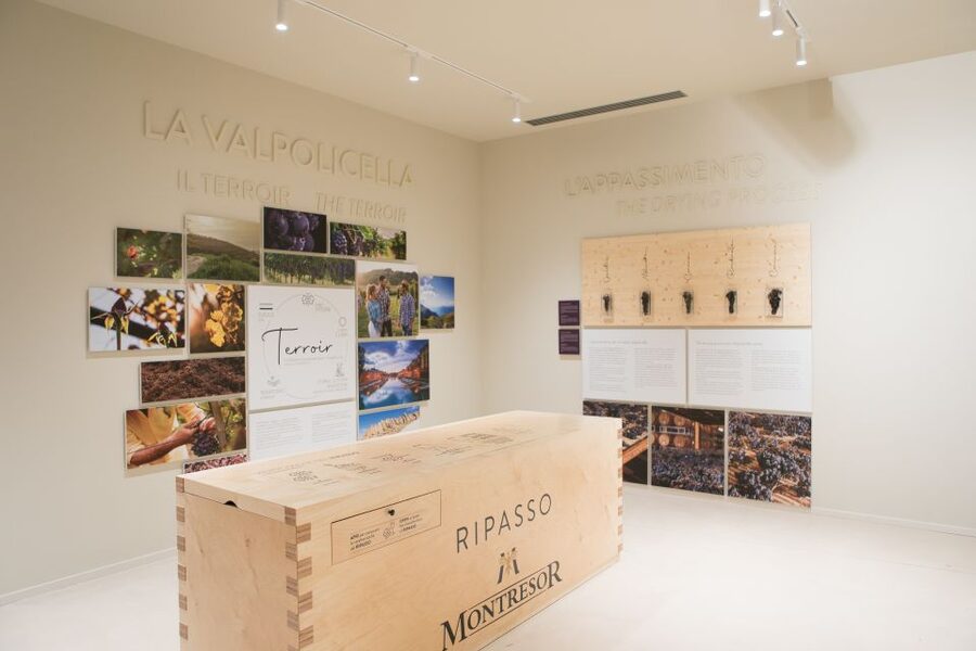 Verona: Montresor Winery Visit with Wine Tasting and Snacks - Inside the Montresor museum: Verona’s past meets winemaking tradition