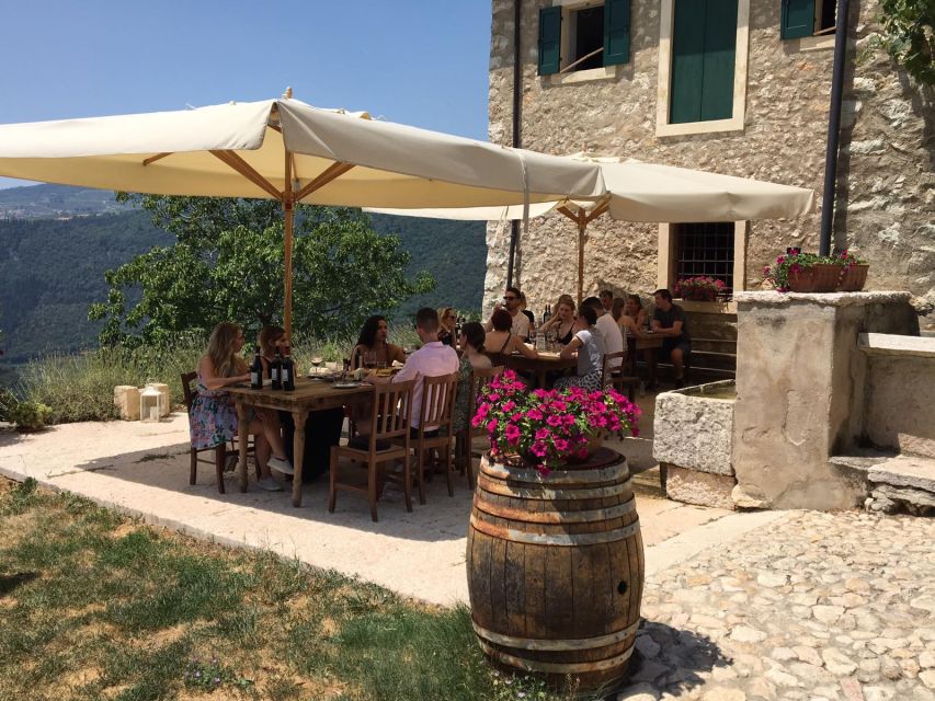 Verona: Vineyard and Winery Tour with Wine Tasting - Vineyard stroll and the 17th-century cellar tour: where the story becomes physical