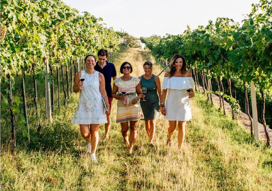 Verona: Vineyard and Winery Tour with Wine Tasting - Timing tips from Verona: plan the rest of your afternoon carefully