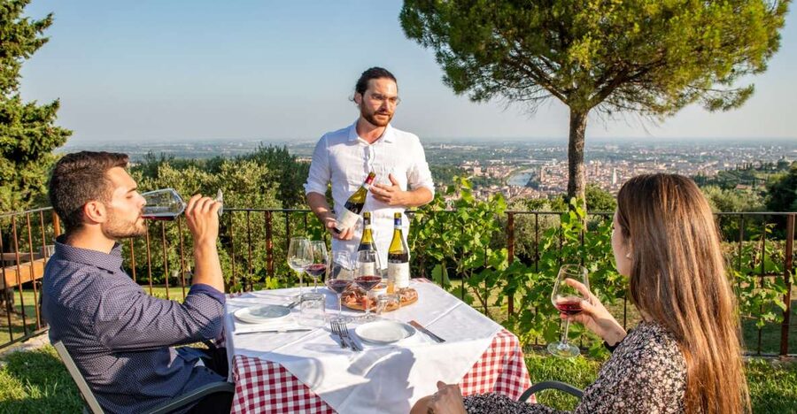 Verona: Wine Tasting with Snacks and Panoramic Views - An Up-Close Wine Stop in Verona’s Hills (Without a Long Day)