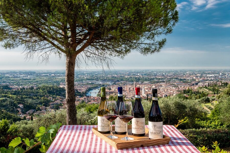 Verona: Wine Tasting with Snacks and Panoramic Views - The Terrace Tasting Hour: 5 Wines Paired With Local Bites