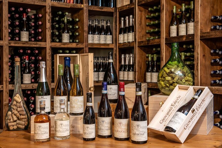 Verona: Wine Tasting with Snacks and Panoramic Views - Who Should Book This Wine Tasting (And Who Might Skip It)
