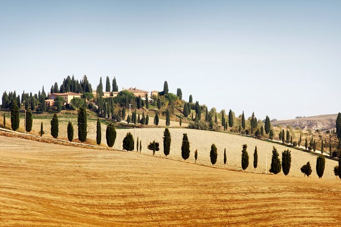 Vespa Tour with Lunch&Chianti Winery from Siena - Key highlights worth your attention