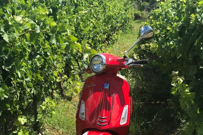 Vespa Tour with Lunch&Chianti Winery from Siena - Price and value: what $168.36 buys you in a Siena-to-Chianti day