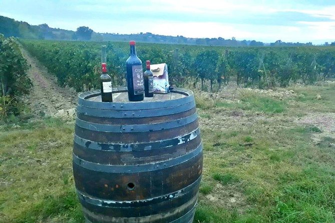 Vespa Tour with Lunch&Chianti Winery from Siena - Weather, timing, and the reality of rain-or-shine scooter days