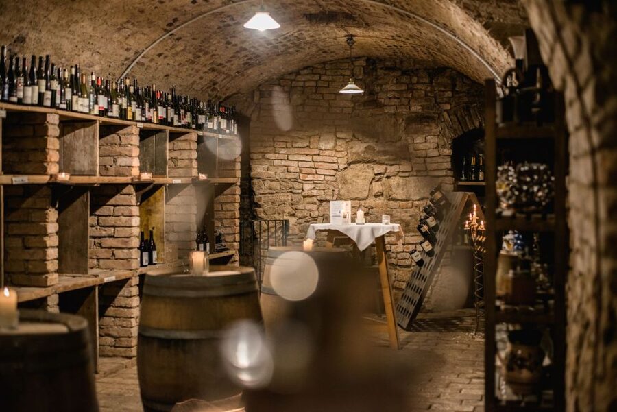 Vienna: Hidden Wine Cellars Tasting Experience - Key things I’d plan around