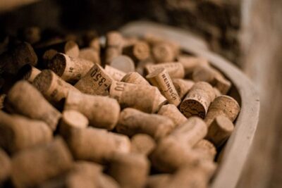 Vienna: Hidden Wine Cellars Tasting Experience - Meeting at Stephansplatz: Easy to Find, Then Straight Into the City Center