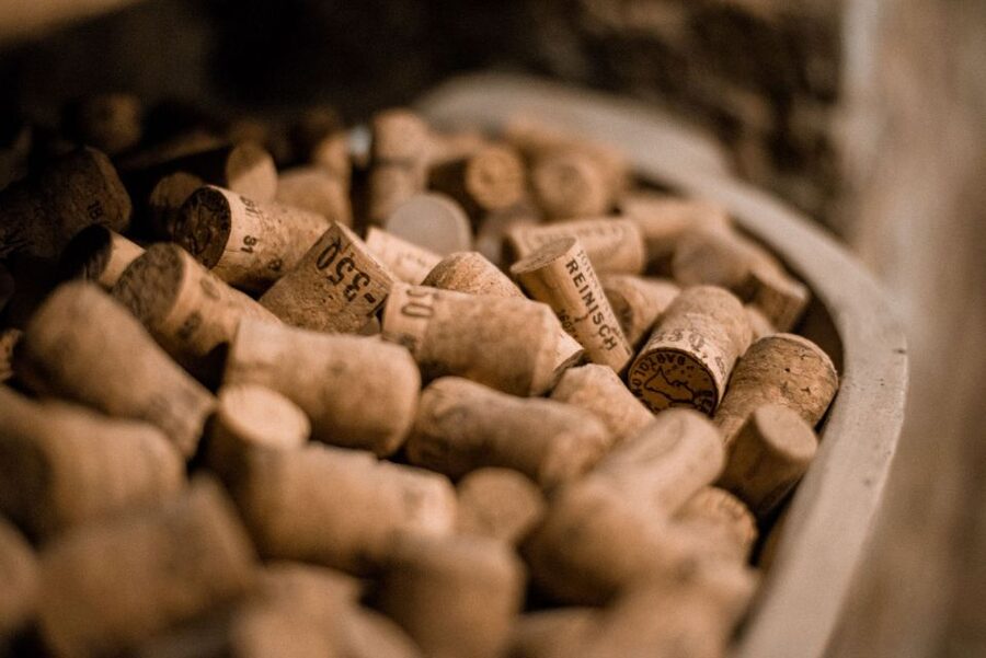 Vienna: Hidden Wine Cellars Tasting Experience - Meeting at Stephansplatz: Easy to Find, Then Straight Into the City Center