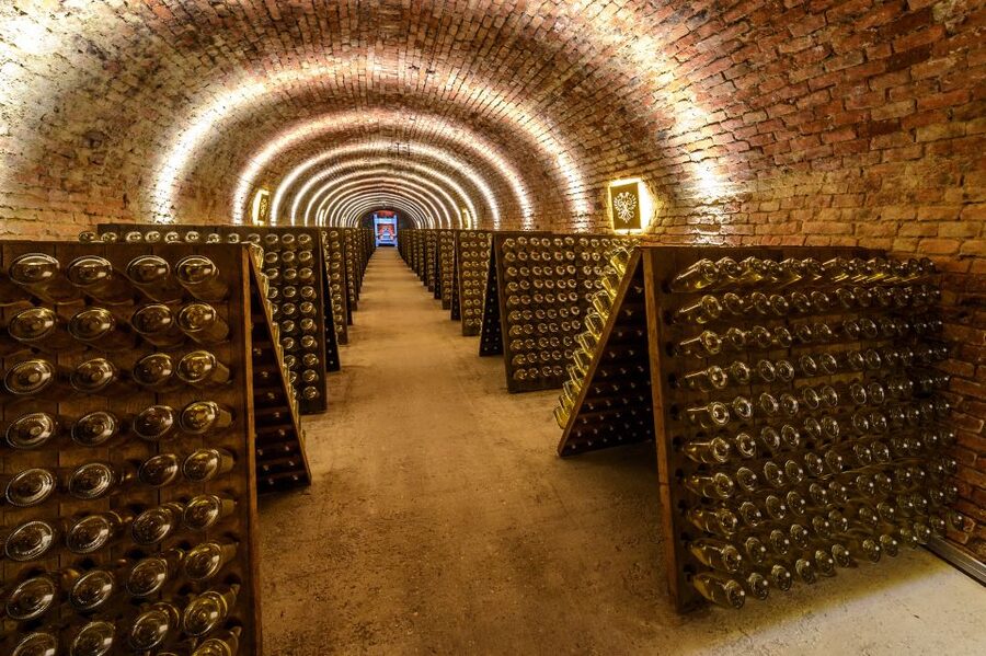 Vienna: Schlumberger Wine Cellar Guided or Self-Guided Tour - The “Hand-Riddle” Moment: Where Hands Learn What Books Can’t