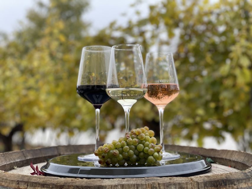 Vienna: Schönbrunn Palace Entry Ticket and Wine Tasting - Using the 60-Minute Grand Audio Guide Without Feeling Rushed