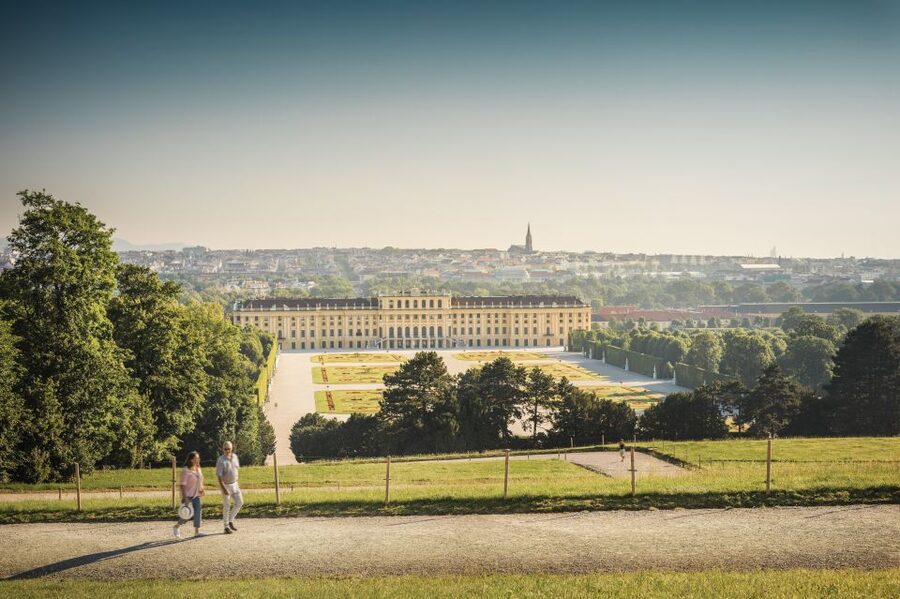 Vienna: Wine Tasting at Schönbrunn Palace - Heurigenjause: the snack that turns wine into an experience