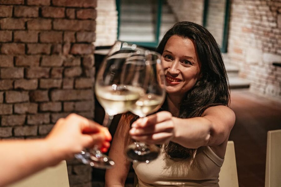 Vienna: Wine Tasting Experience in a Private Wine Cellar - Pairing Like a Local: Austrian Delicacies That Aren’t an Afterthought