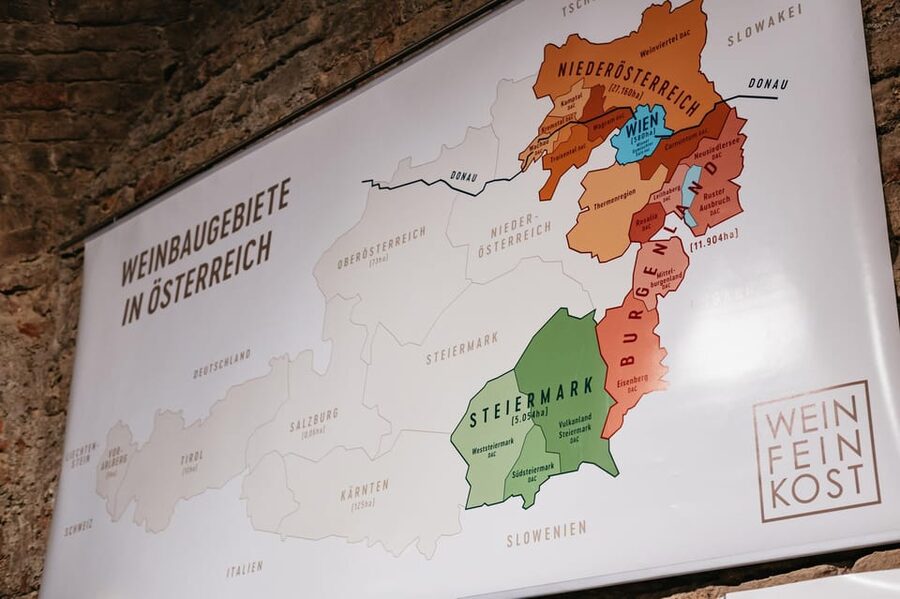 Vienna: Wine Tasting Experience in a Private Wine Cellar - Guide Personality and Your Chances to Ask Questions