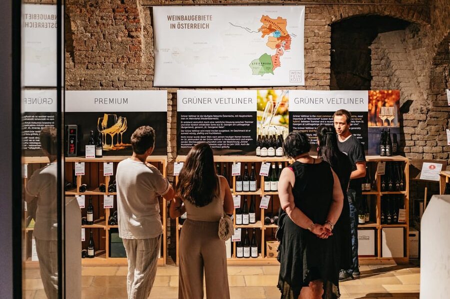 Vienna: Wine Tasting Experience in a Private Wine Cellar - Who This Fits Best (and Who Might Want to Skip)