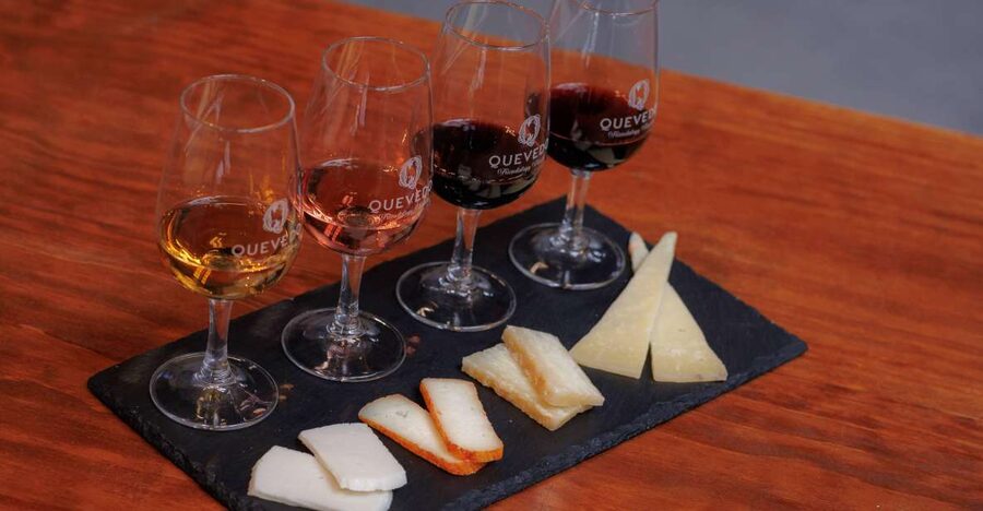 Vila Nova de Gaia: Port Wine Tasting with Cheese Pairing - Quick hits before you go