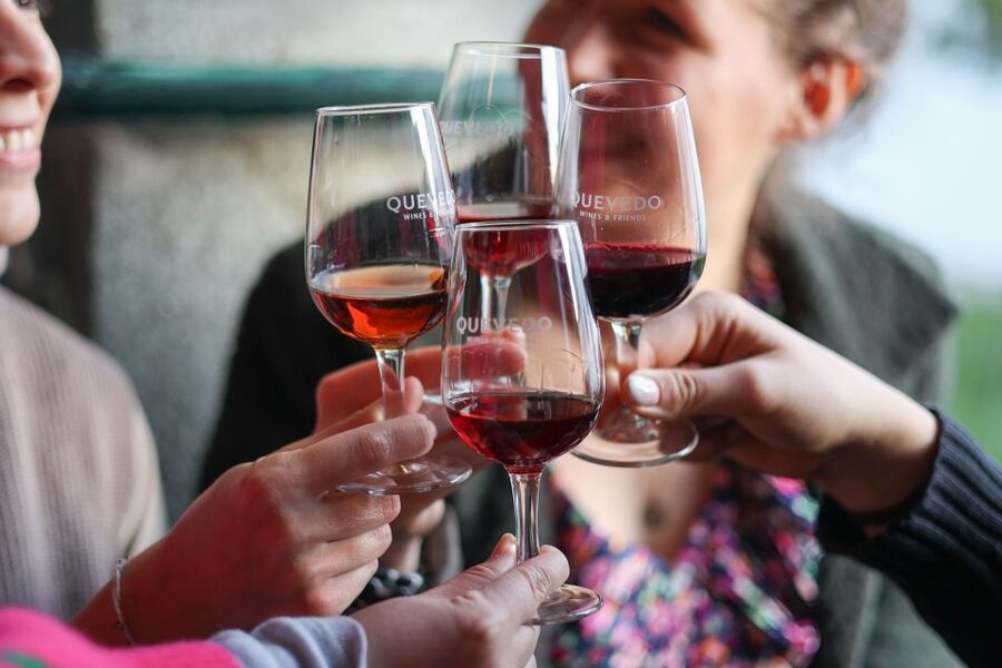 Vila Nova de Gaia: Port Wine Tasting with Cheese Pairing - Price and value: why $30 feels fair