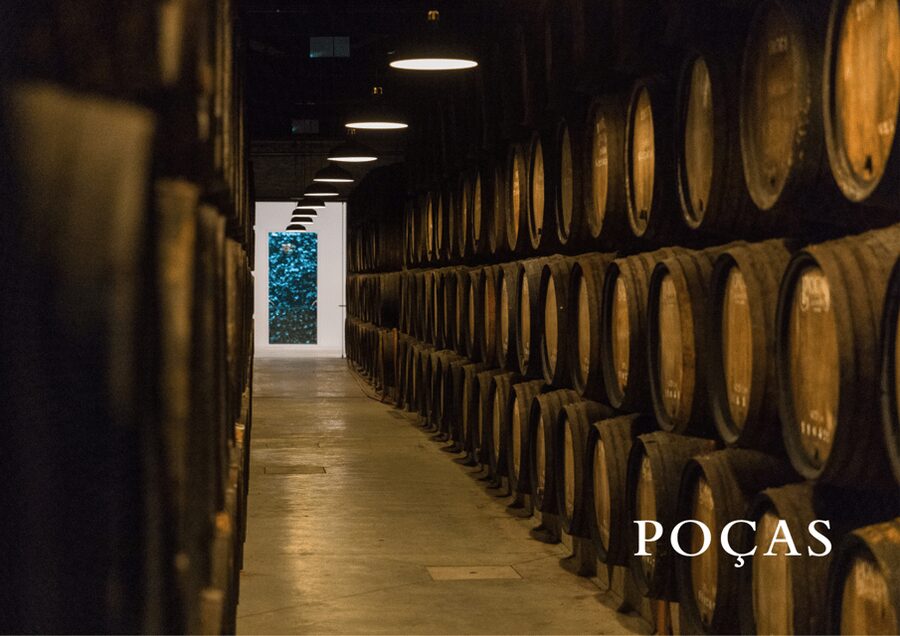 Vila Nova de Gaia: Winery Tour with 2 DOC Douro & 1 Port - Inside the aging cellar: what you’re actually learning when you smell