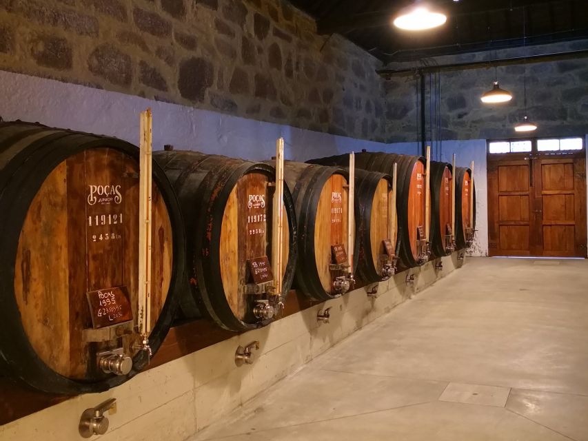 Vila Nova de Gaia: Winery Tour with 2 DOC Douro & 1 Port - Guide experience and language support: why it feels like real hospitality