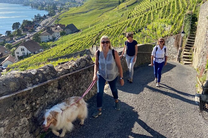 Vine Stories: Lavaux & Lutry wine walk - Lavaux’s UNESCO terraces: why this wine walk feels different