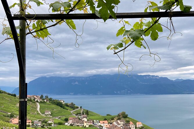 Vine Stories: Lavaux & Lutry wine walk - Meeting in Lutry and the walk plan: pace, distance, and what it really means